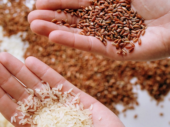 rice 1